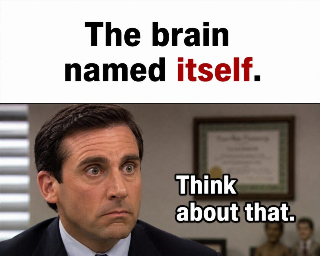 Thinkkkkkkk