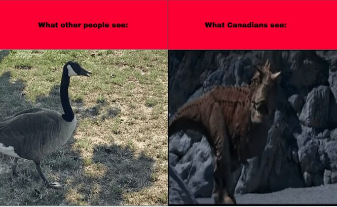 Only in Canada…