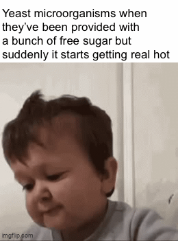 Boy I sure am glad I’ve been given a whole lot of free carbohydrates with no strings attached