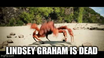 Couldn’t Find a Gif of Dancing Ladybugs