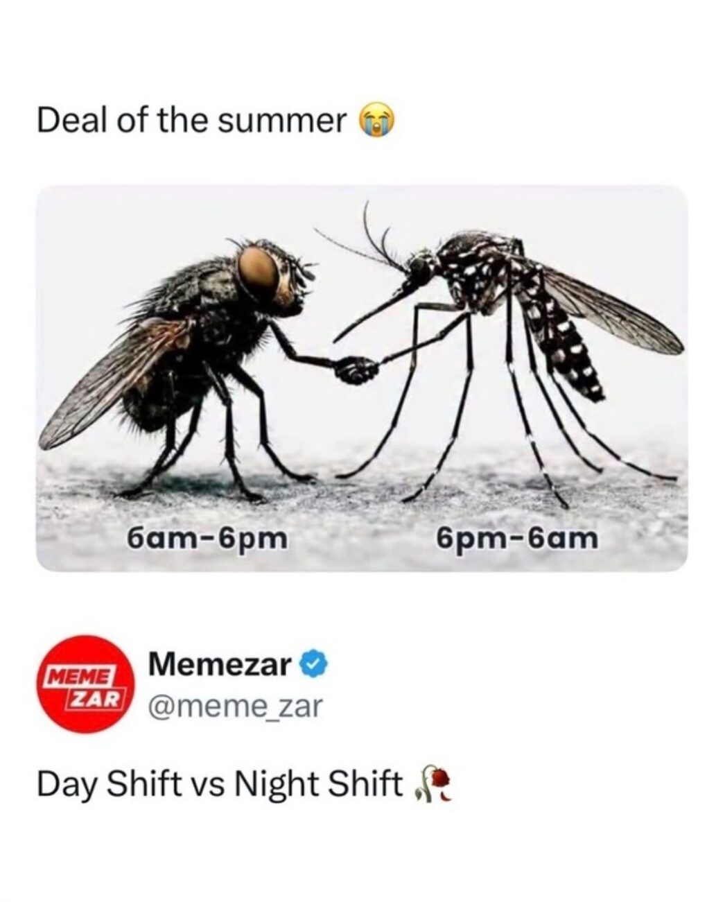 Deal of torture 😭