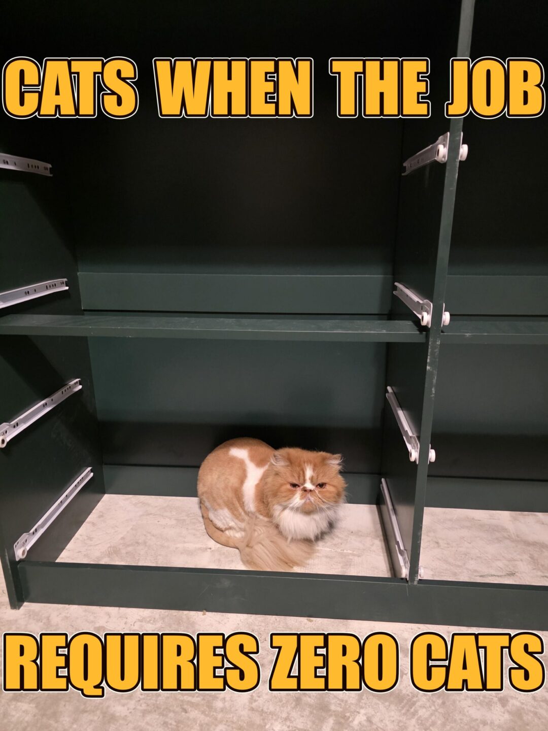 I can see mah services is required here