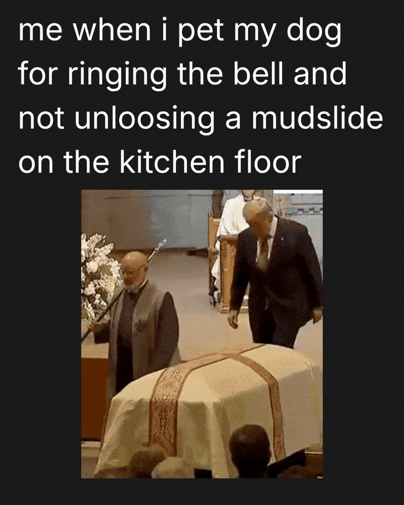 good boy