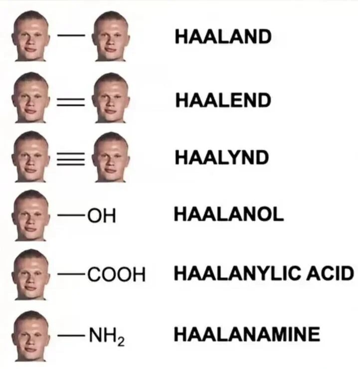 Haalanistry