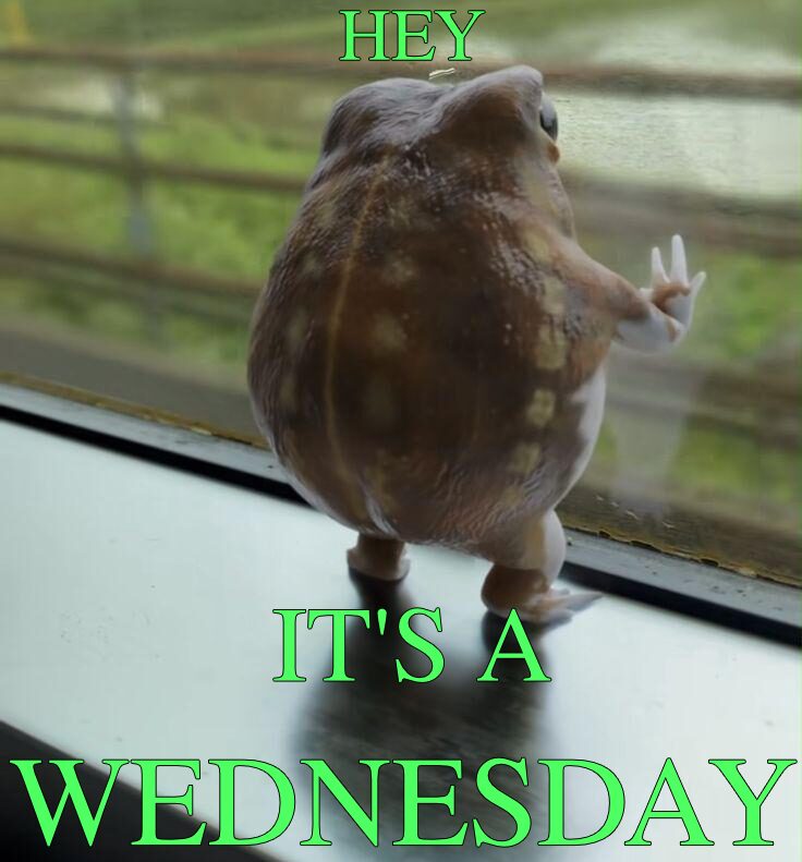 Happy Wednesday Witches
