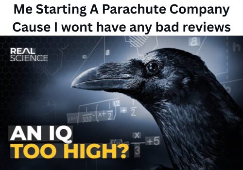 An IQ too high?