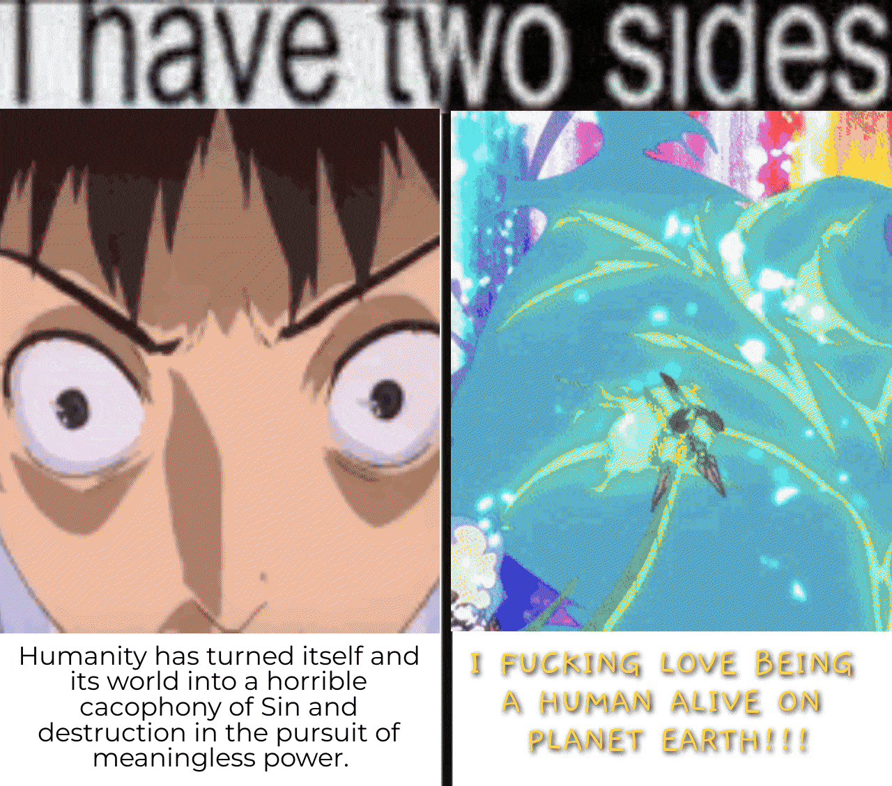Lifeslop or Lifegem? you decide