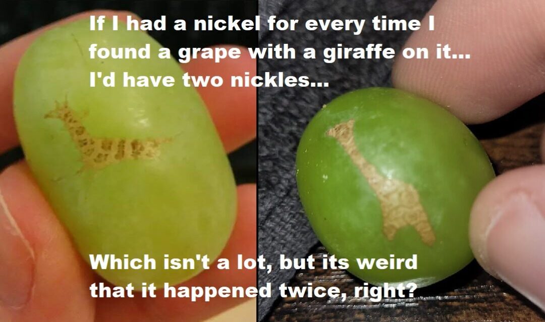 If I had a Nickel— (made this a few years ago, and refound it while cleaning my comp!)