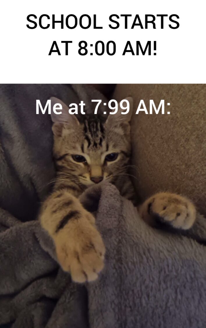 SCHOOL MEME!