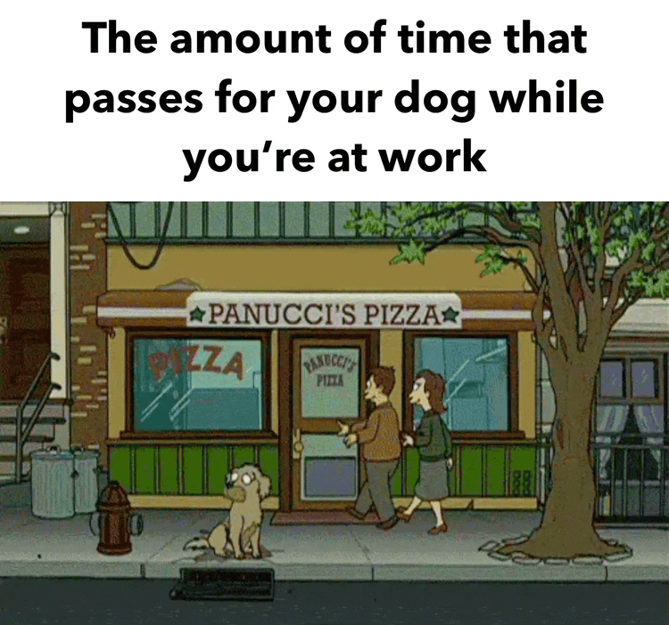 Someone has to pay for all these dog treats