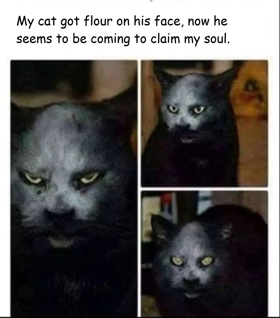 The Soul Eater