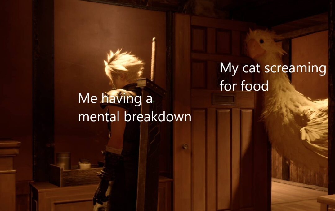 Time to feed the creature, i guess