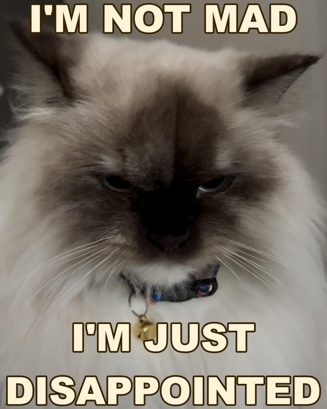 A tragic case of Treat Deficiency Syndrome