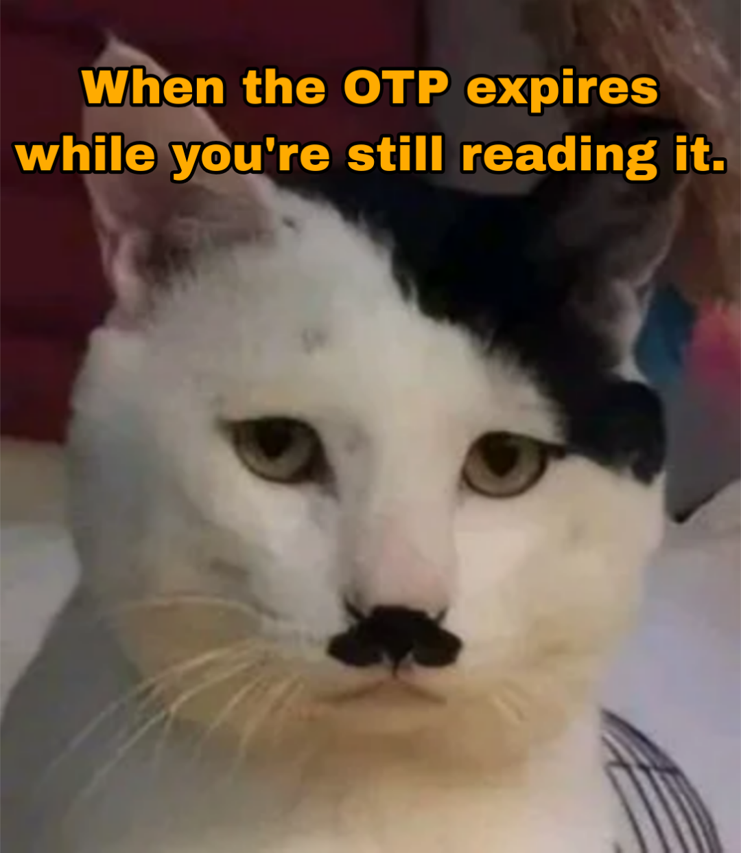 and the the vary next moment it says INVALID OTP.
