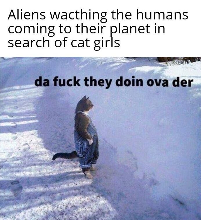 “What’s a cat?”