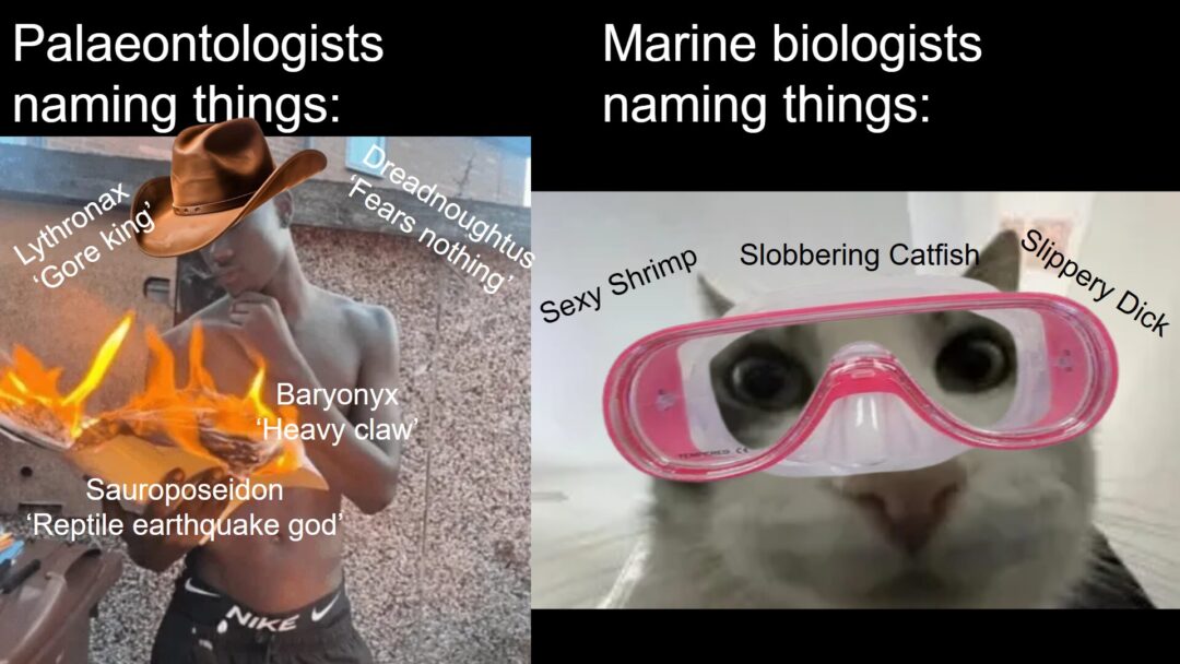 Yeah, those are all real names