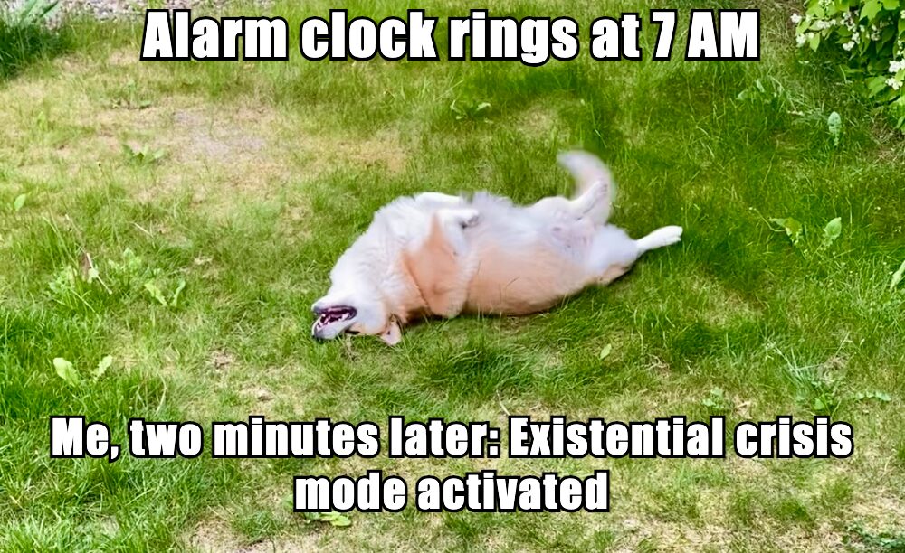 7 AM alarm vs 7:02 AM me