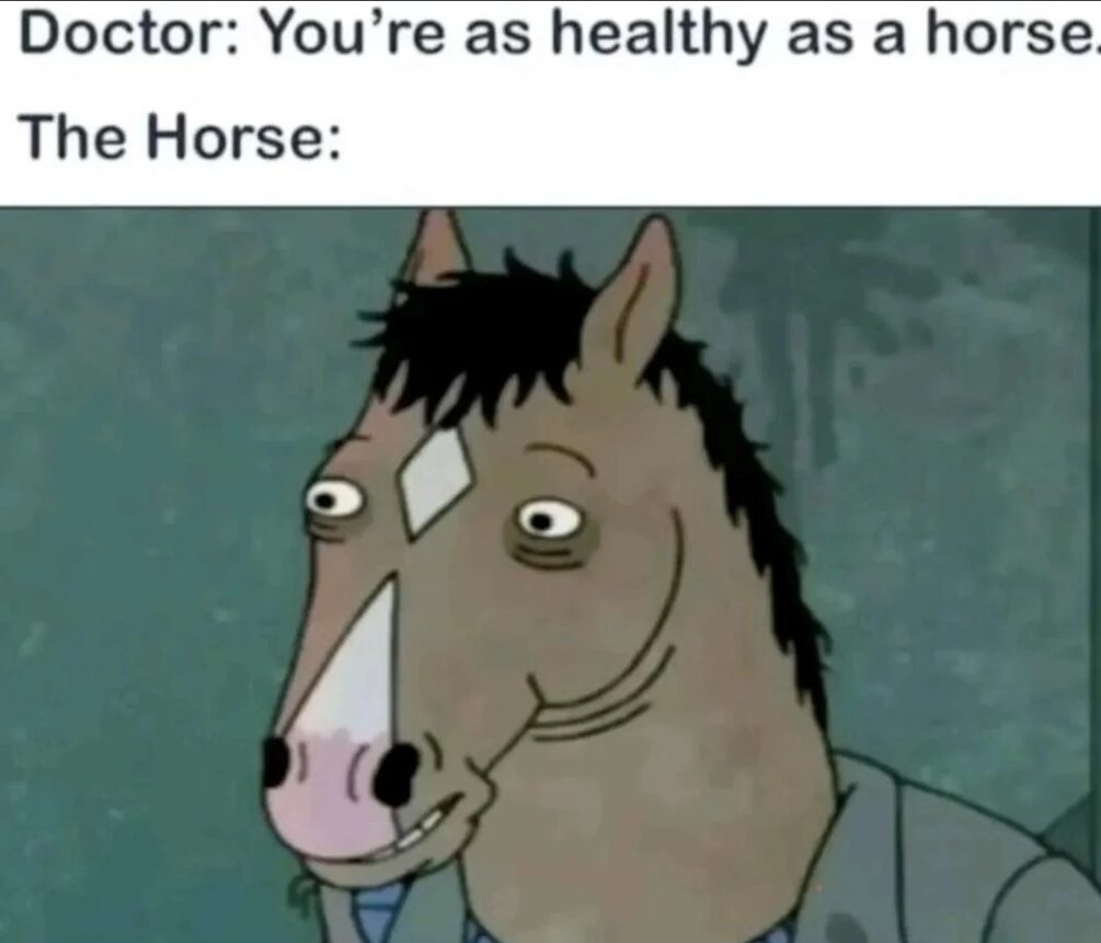 Any of you ever watched BJHM?
