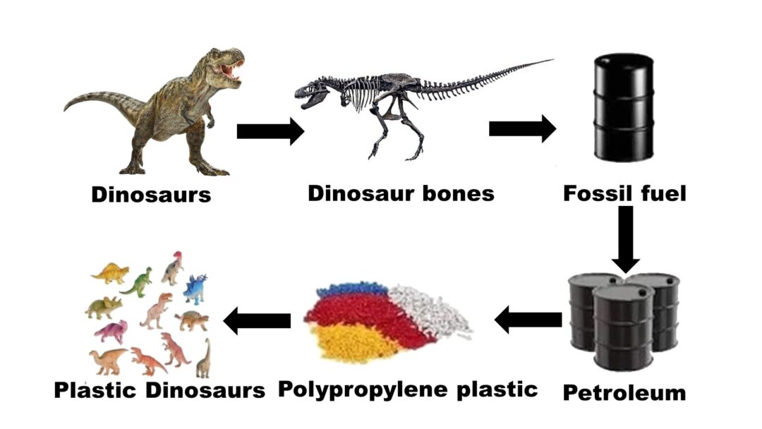 So apparently, plastic dinosaurs are made from real dinosaurs