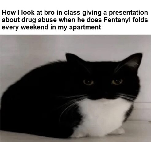 How is bro still alive?