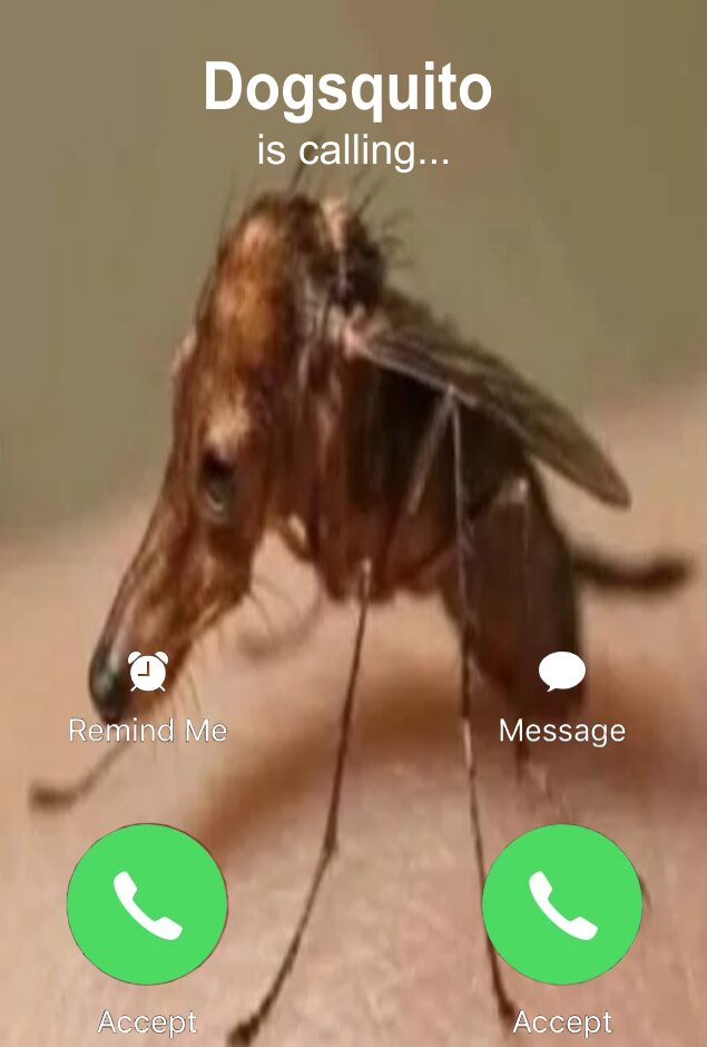 Would you call the Dogsquito?