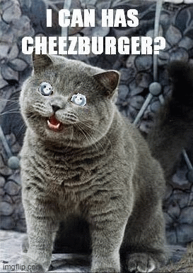 It’s Caturday in Kiritimati