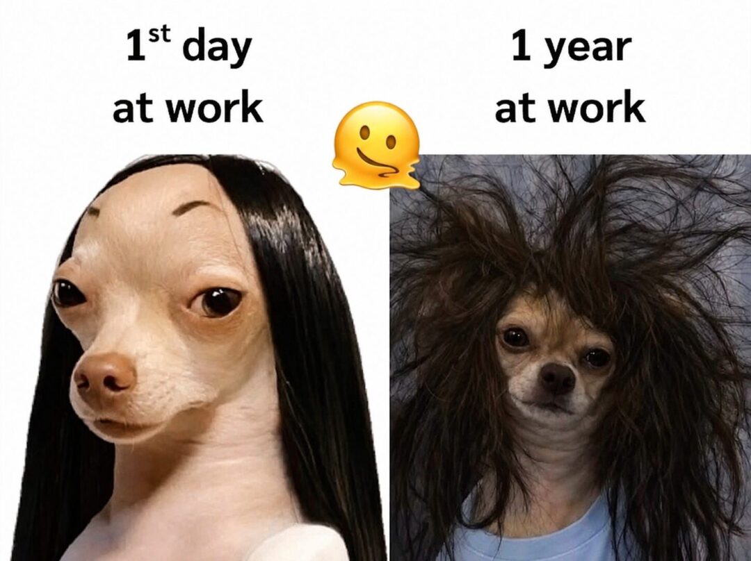 The character development nobody asked for 😂