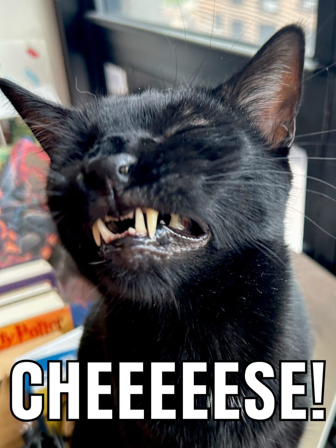 Cheeeeeeese!