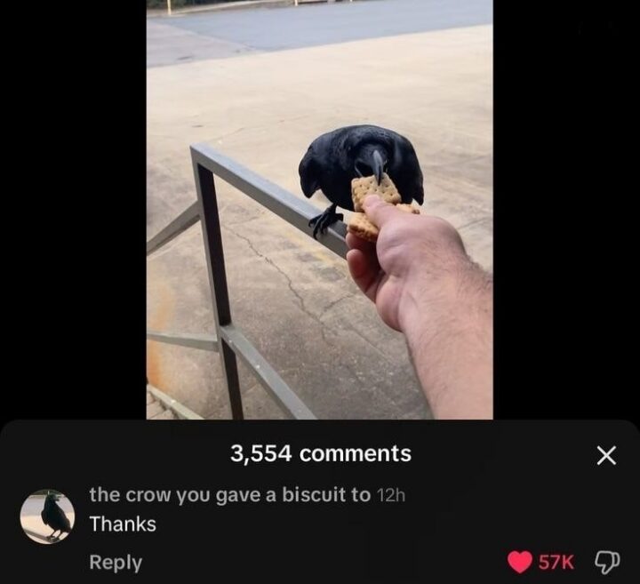I didn’t expect him to thank me in this way