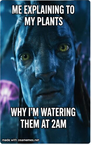 Explaining to My Plants