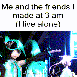 Me and the friends I made at 3 am ( I live alone)