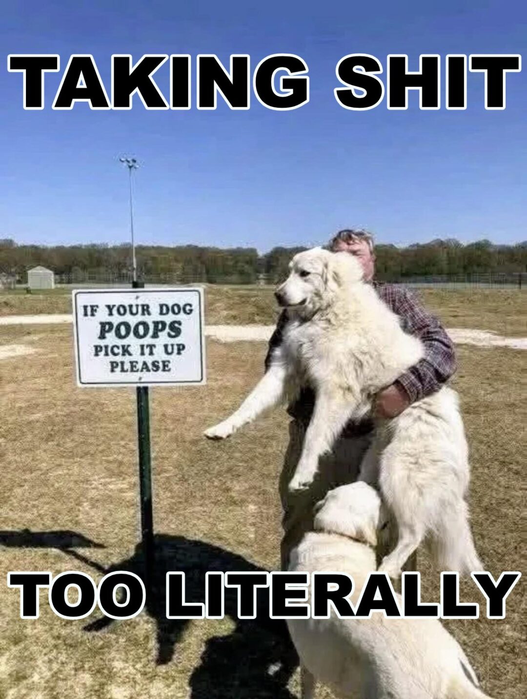Good to see a responsible dog owner