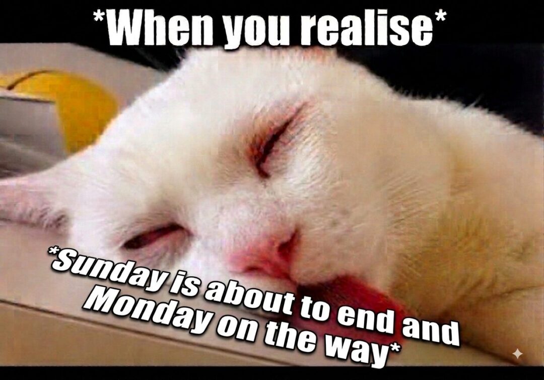 I Hate Monday, is this Normal thing?