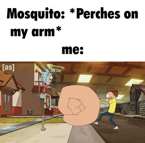 I hate summer!