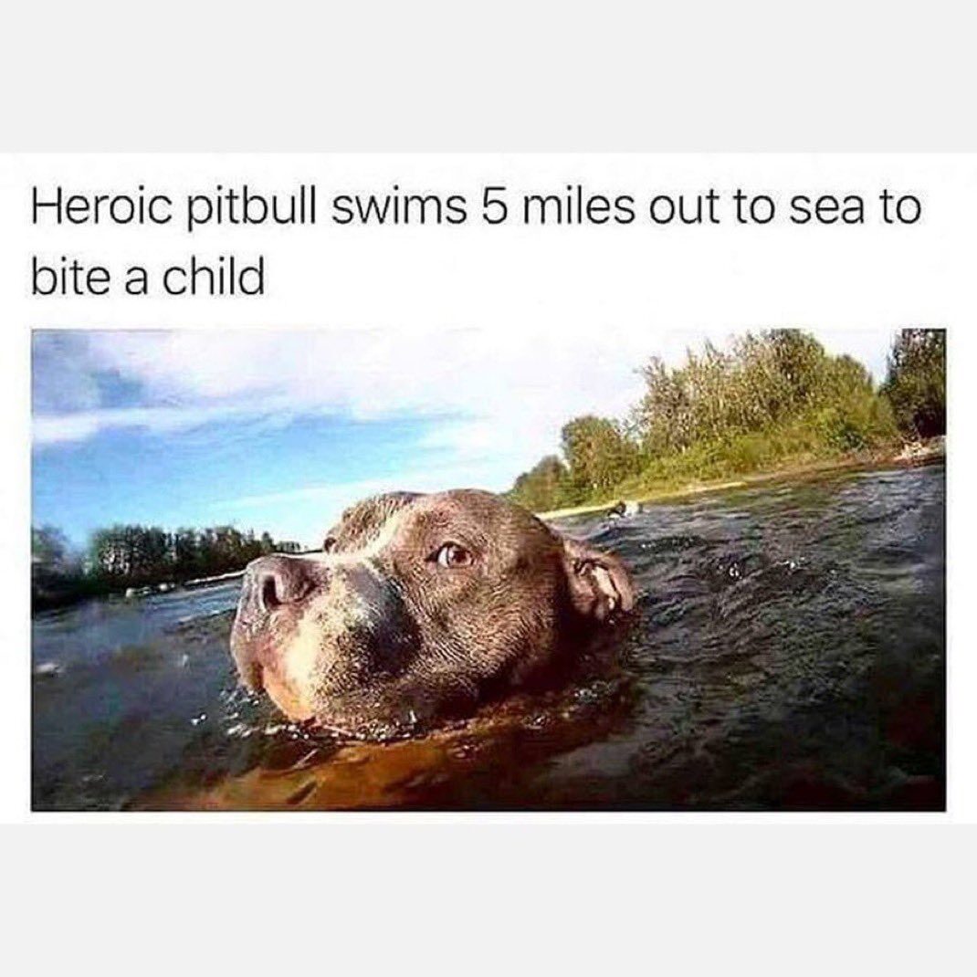 Never give up on your dreams