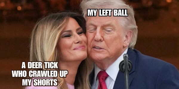the perfect pair