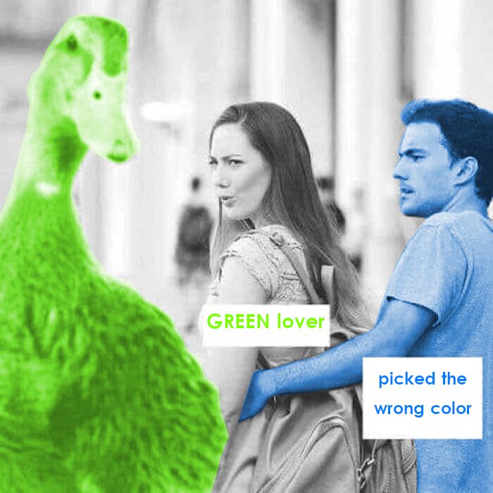 pick the right color anon