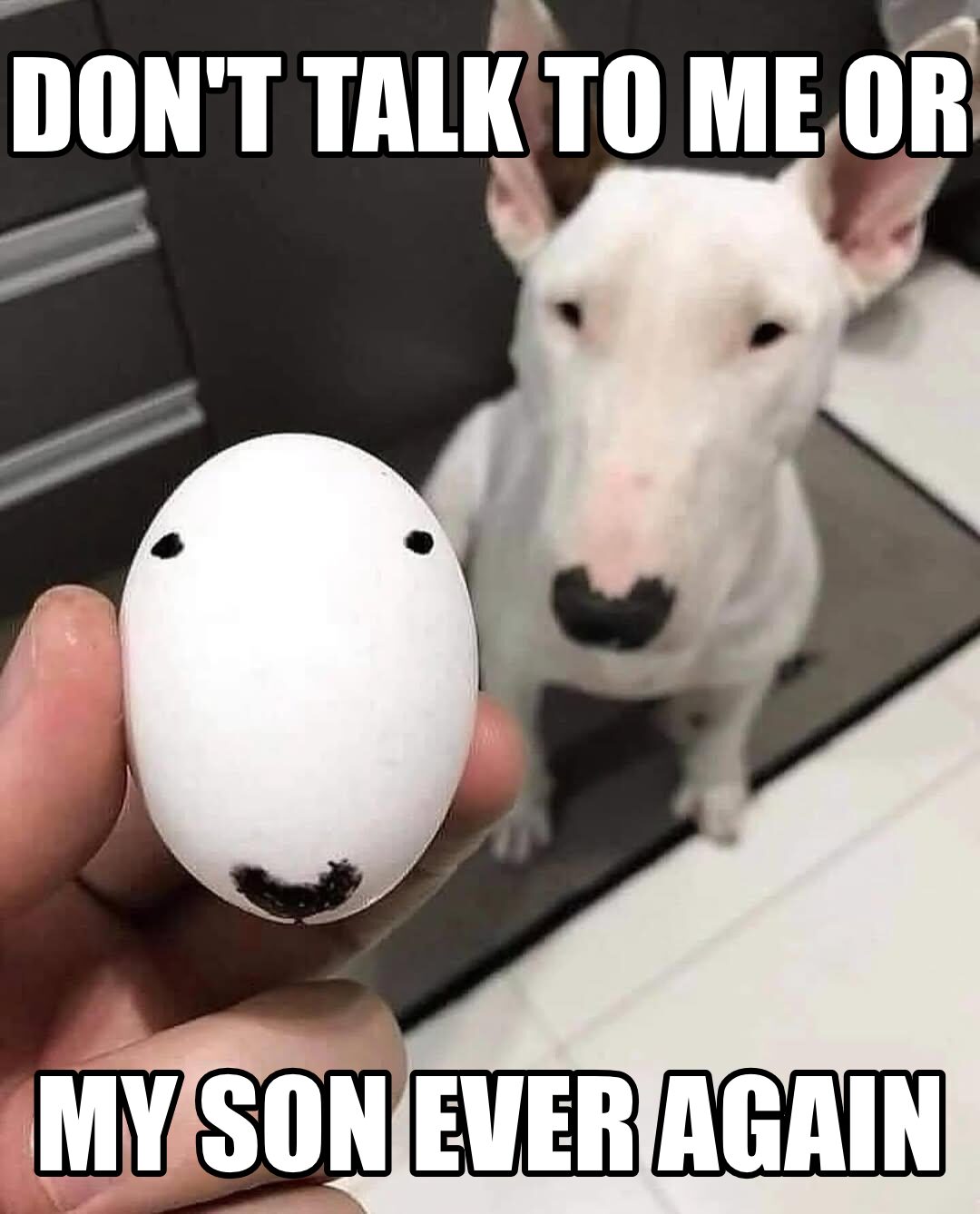 I was picture. Now am become meme.