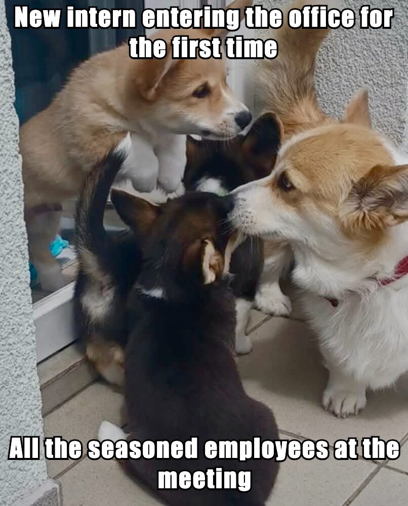 How every team welcomes the new guy