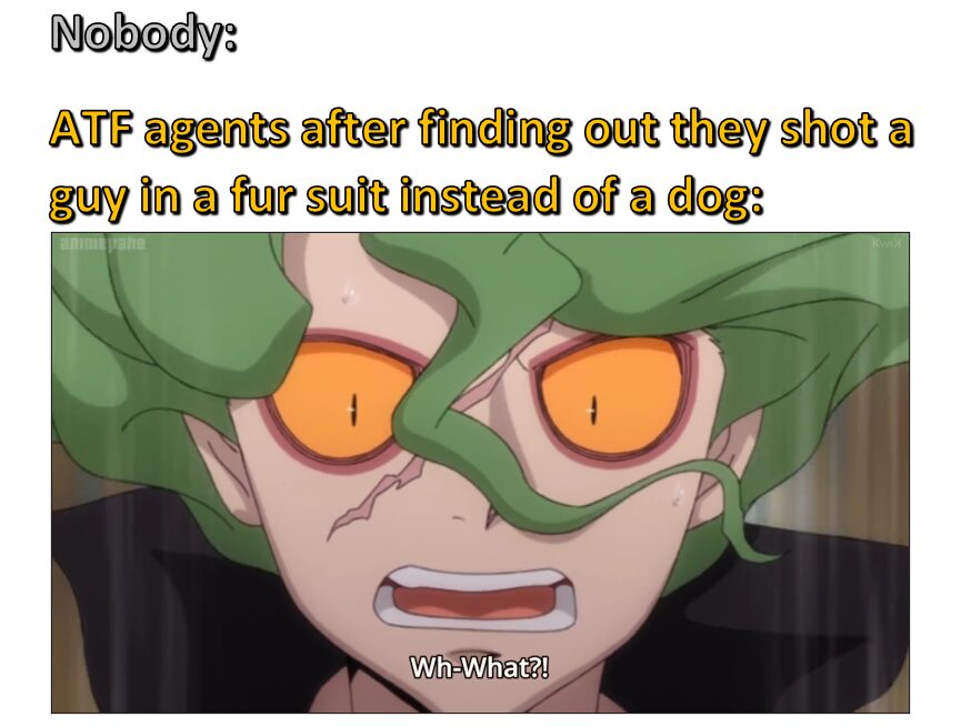 What is a title?