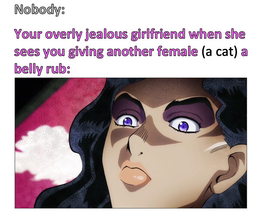“The only 😺 you should touch is mine.”