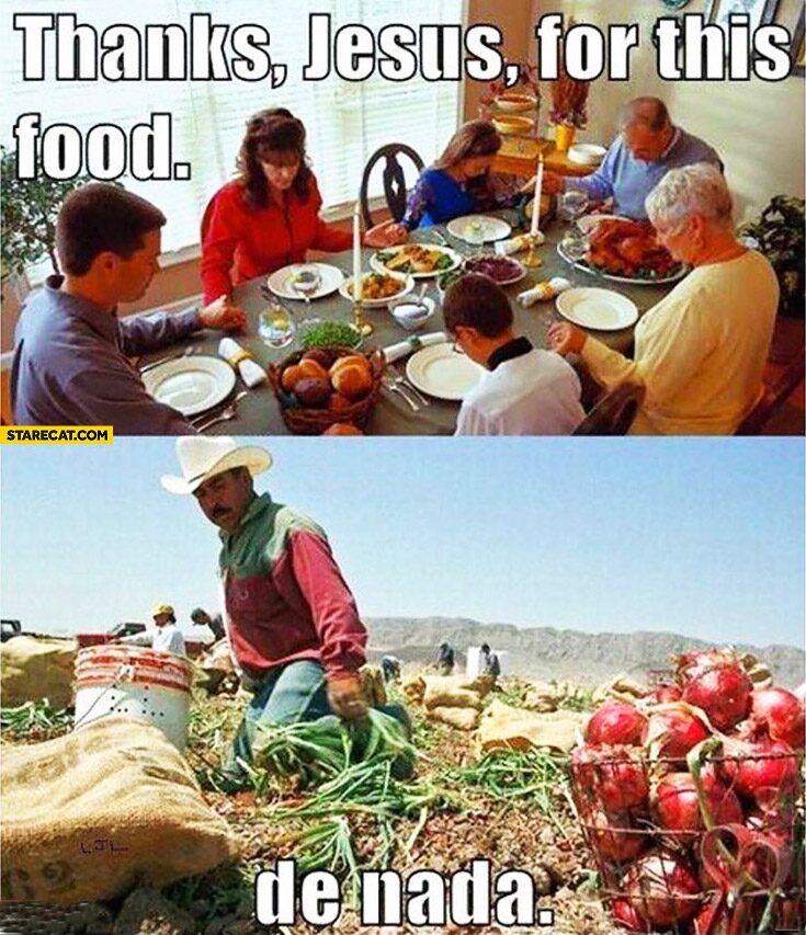 my viral meme