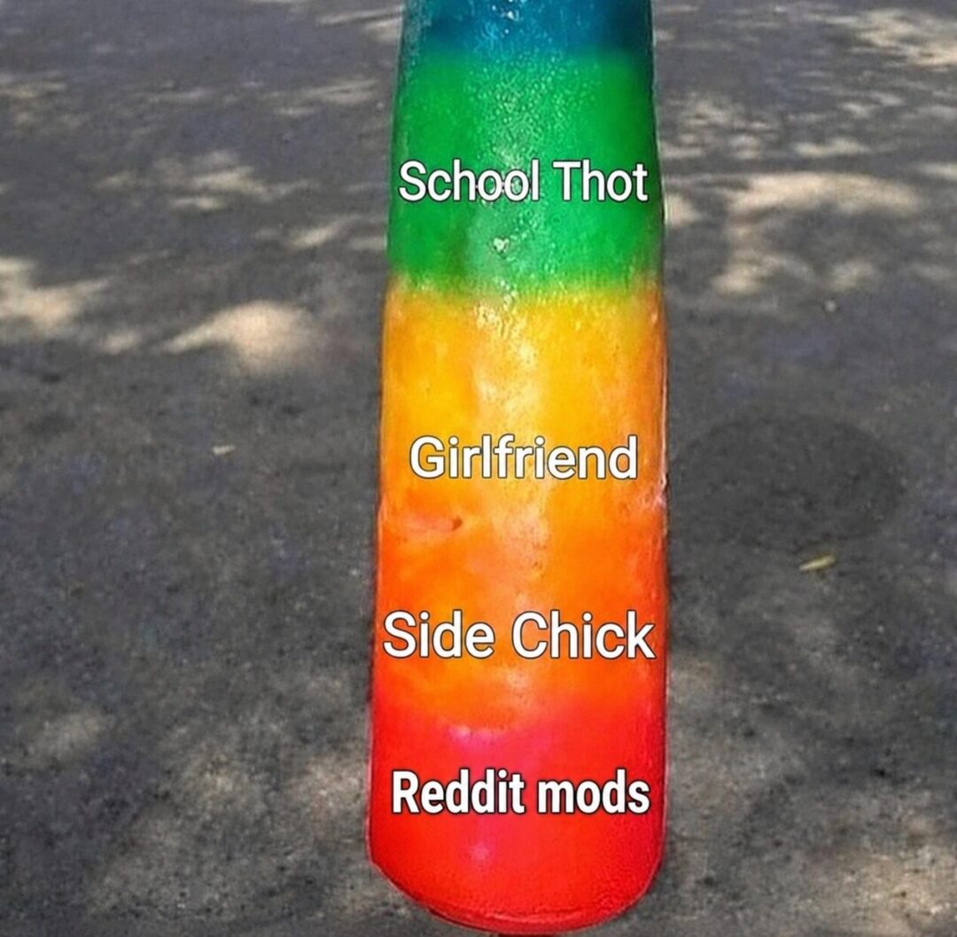 Average Reddit Moderator