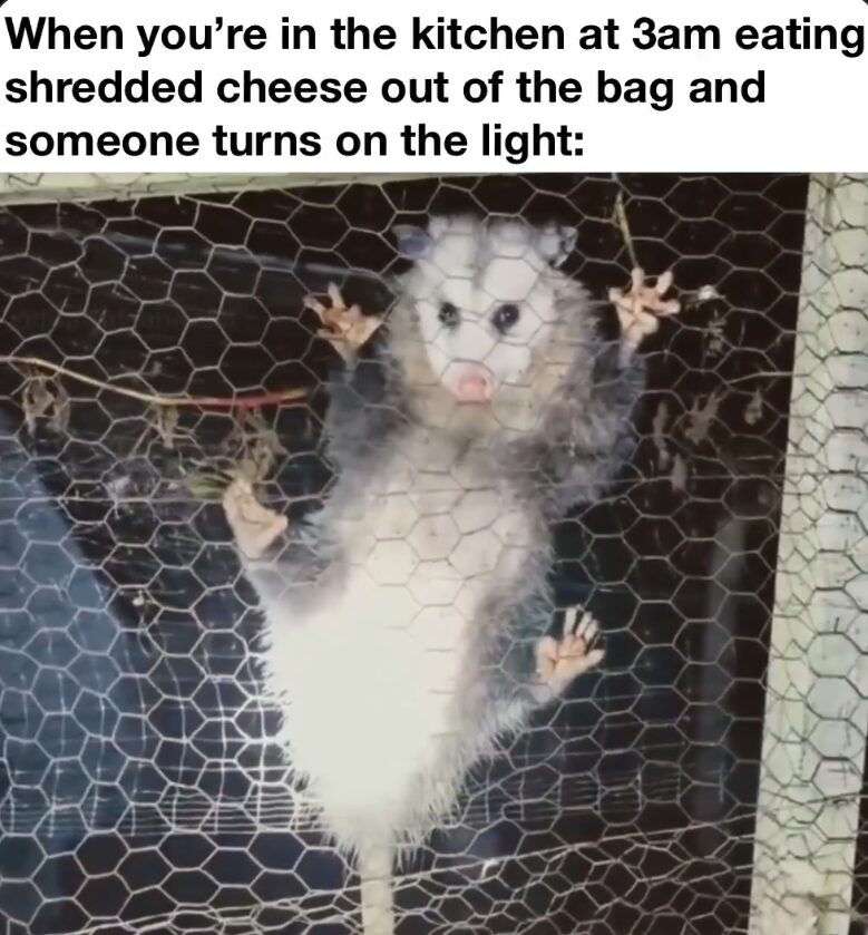 It’s better shredded idk why
