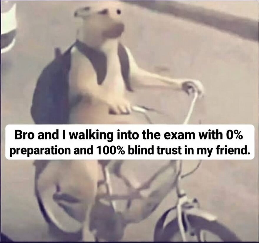 Bro and I walking into the exam with 0% preparation and 100% blind trust in my friend