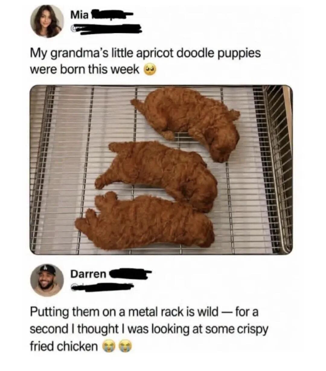 I cant see if its actually a dog