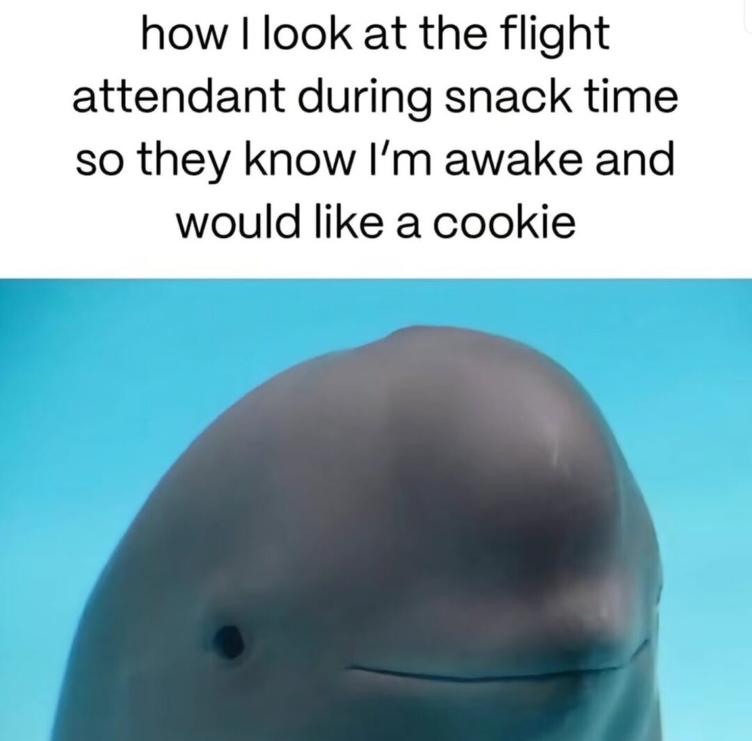 cookies or pretzels