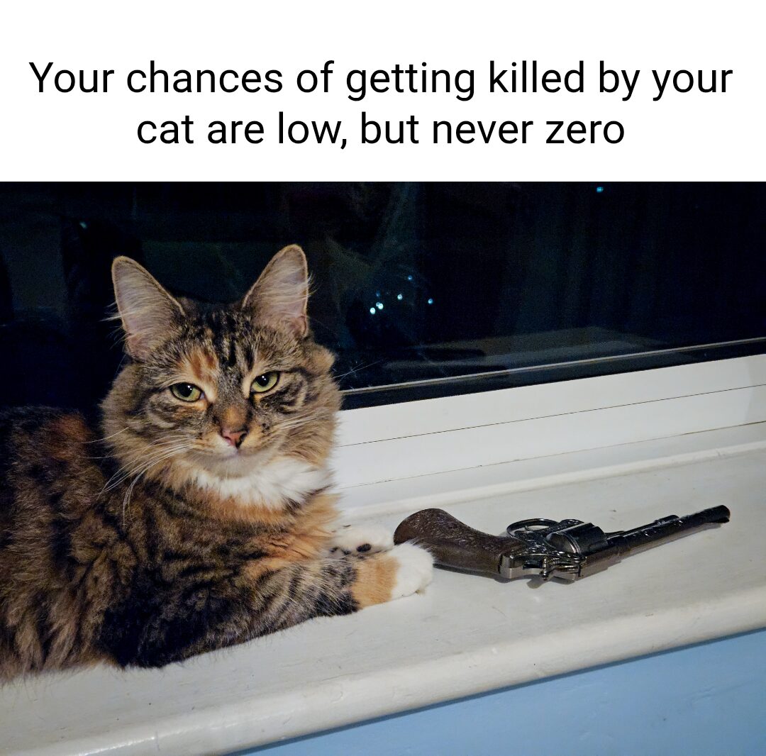 Friend’s cat plans last night