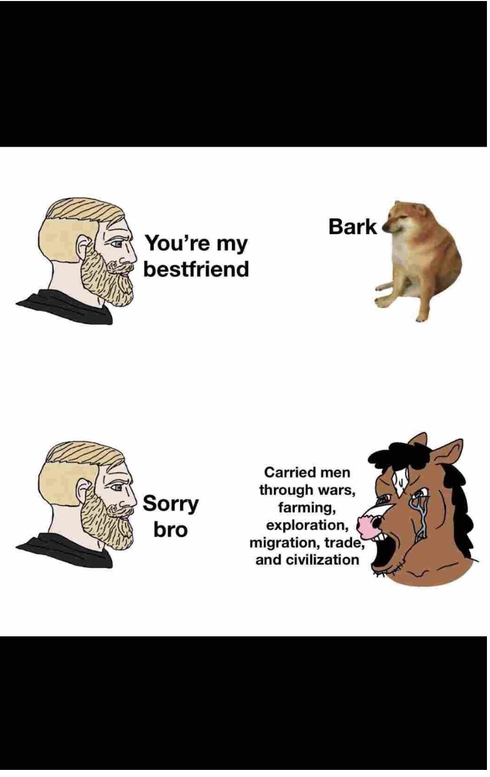 Friendship has Fallen