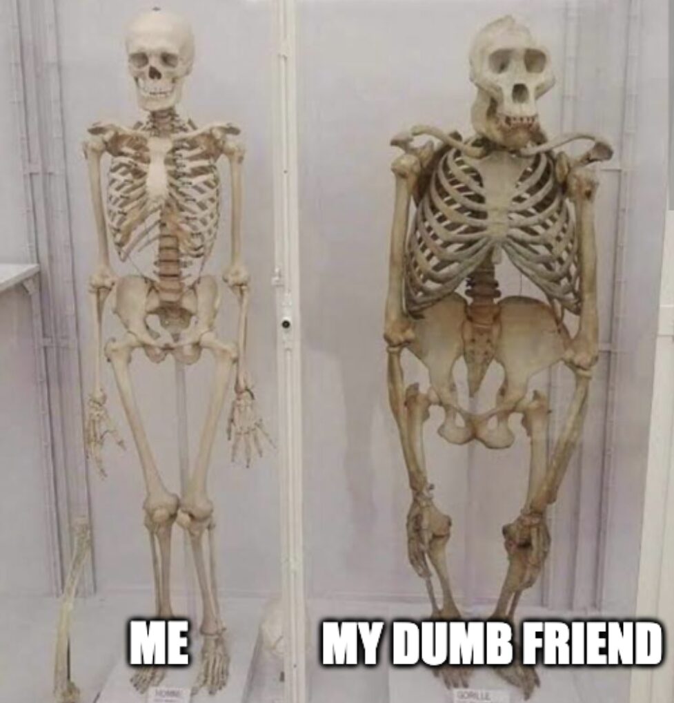 Hello there bud